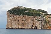 Capocaccia peninsula